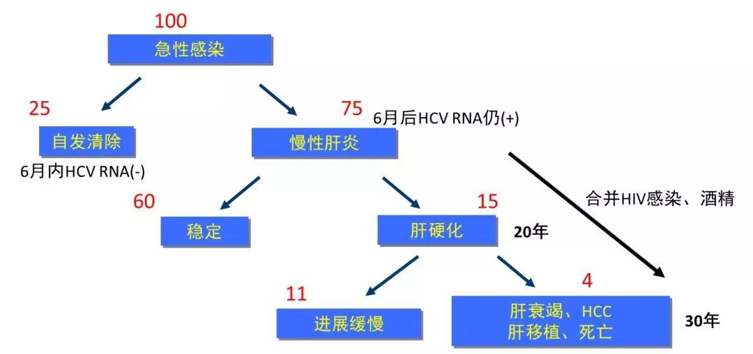 丙肝檢測的弱陽性究竟是不是感染了丙肝？